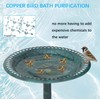 5 Pcs Copper Bath Disk Ornaments Bird Bath Copper Disk,