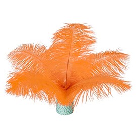Piokio 20 pcs Orange Ostrich Feathers Plumes 6-8 inch(15-20 cm) Bulk for DIY Thanksgiving Decorations, Wedding Party Centerpieces, Gatsby Decorations