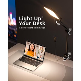 UBeesize Streaming Light, 8" Ring Light for Desk with Clamp and Adjustable Arm, Zoom Lighting for Computer, Video Conference Lighting for Home Office, Video Calls, Streaming, Podcasting