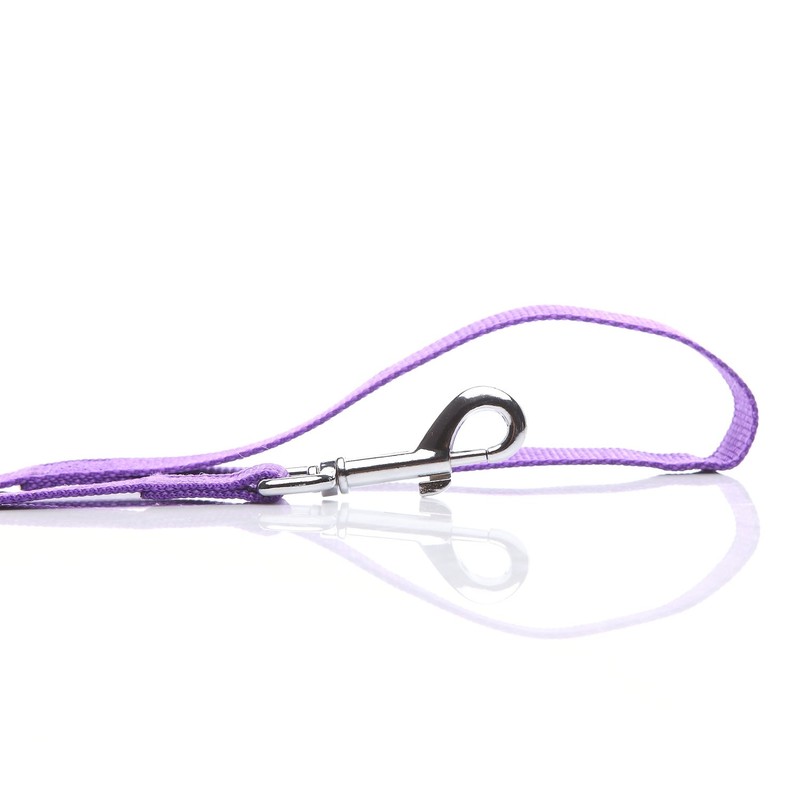 Durable Nylon Dog Leash 16 Feet Long, Walking Training Dog
