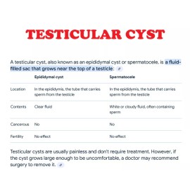 ORGANIC VITAMINS Herbal Supplement for men  -  Made in USA - 100% Natural shrinker