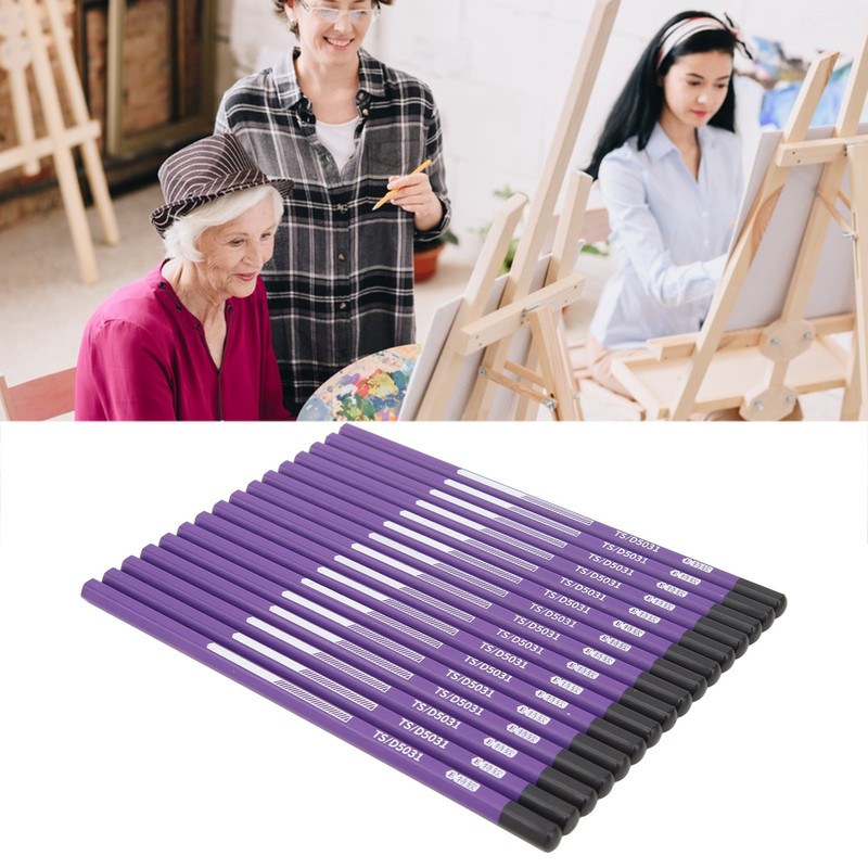 16pcs Charcoal Pencil Drawing Sketching Shading Pencils for Beginners Professional