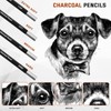 Geyoga 36 Pcs Professional Charcoal Pencils Extra soft, Soft, Medium,