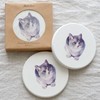 Jubilee Diatomaceous Earth Coasters Set of 2 Cat Pastel Color
