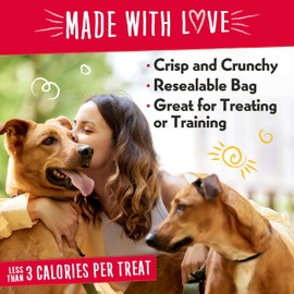 Charlee Bear Crunch Grain Free Dog Treats, Chicken, Pumpkin and Apple, 2 Ounce Resealable Bag, Low Calorie Training Treats for Dogs, Limited Ingredient, Healthy, Crunchy Dog Snacks, Made in USA