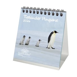 Tierkinder Penguins Desk Calendar 10 cm x 10 cm for 2026 Penguin Gift Set Contents: 1 x Calendar, 1 x Christmas Pendant (Total 2 Pieces)