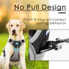 ThinkPet Anti-Pull Dog Harness, with Handle, Easy to Control, Adjustable,