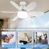 DBFAIRY Ceiling Fan with Lighting, Ceiling Fan with Dimmable Light