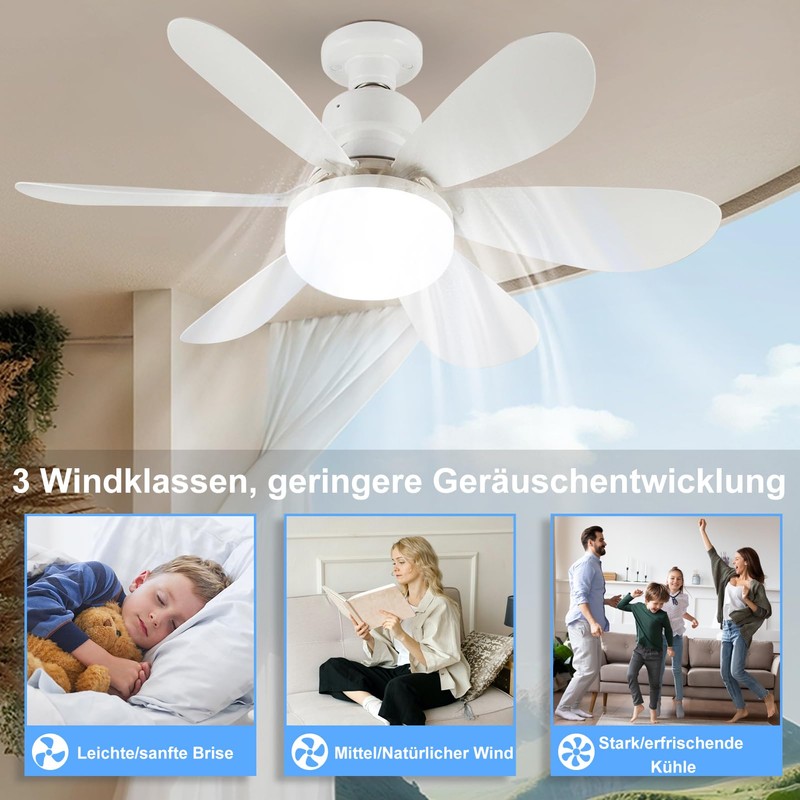 DBFAIRY Ceiling Fan with Lighting, Ceiling Fan with Dimmable Light