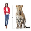 Persian Leopard - Life Size Cardboard Cutout Standup People with