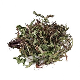 Fresh Herbal Domestic Dandelion