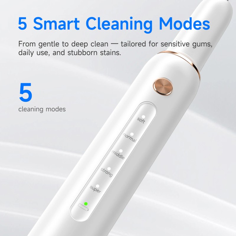 Dental Cleaning Kit Tartar Plaque Remover for Teeth with LED