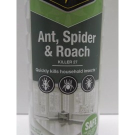 Raid Essentials Ant, Spider & Roach Killer 10 oz.