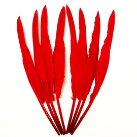 Red Long Feathers 10-12 inch,30PCS Natural Goose Feather,Bulk Left and Right Wing Feathers for Crafts,Party Decoration,DIY Fabricating Handicraft Article (Red)