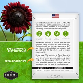 Survival Garden Seeds - Chocolate Cherry Sunflower Seed for Planting - 3 Packets with Instructions to Plant & Grow Burgundy Sunflowers in Your Vegetable & Flower Garden - Non-GMO Heirloom Variety