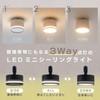 Edison Smart 3-Way Lighting Mini Ceiling Light TREO for Hooked