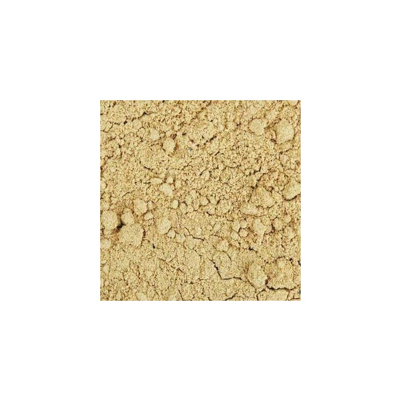 Indus Organics Coriander Seeds Powder, 1 Lb Bag, Premium Grade,