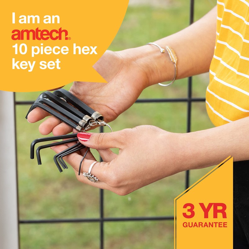 Amtech I8750C Hex Key Set, 10 Assorted Anti-Rust Hex Keys,