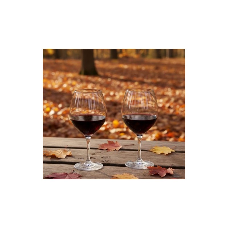 Ravenscroft Crystal Vintner's Choice Burgundy Pinot Noir Stemware, Set of