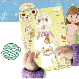 Educa Borrás- Learning is Fun The Human Body - Juego Educativo para niños a Partir de 4 años (18701)