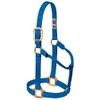 Weaver Leather Original Non-Adjustable Nylon Horse Halter, Small, Blue