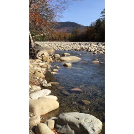 Hawaii bobs garden art 15 Brown Cones Rustic Baskets