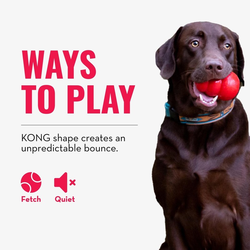 KONG - Bounzer X-Large