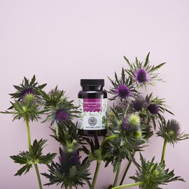 NATURE LOVE® Milk Thistle - Premium 4-Way Complex: Marian Thistle (80% Silymarin), Artichoke, Dandelion and Desmodium, 120 Vegan Capsules (2 Months), High Dosage, Vegan, Made in Germany