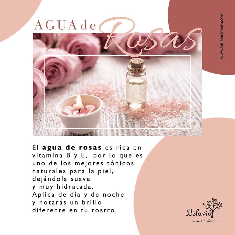 Tónico Facial y Jabon Artesanal Neem