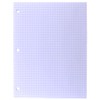 Top Flight Filler Paper, Quadrille Rule, 10.5 x 8 Inches,