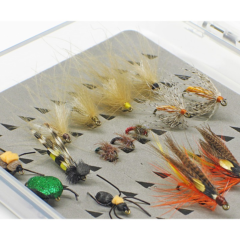 AXISCO Clear Fly Box - L Foam/KL-F