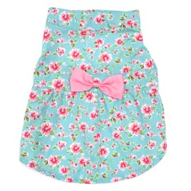 The Worthy Dog Watercolor Floral Dress