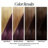 Adore Semi Permanent Hair Color (079 Burgundy Envy) | Vegan