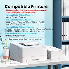 245XL Ink Cartridge Replacement for Canon 245XL Black Ink PG-245XL (2 Pack)
