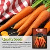 Imperator 58 Carrot Seed for Planting - 2 Packets with
