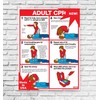 CPR for Adults 18" X 24" Laminated Poster 2017 Standards