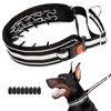 Mayerzon Martingale No Pull Dog Collar, Reflective Walking Collar for