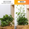 kissral Plant Clips Large Pack of 50 Wall Mounts for