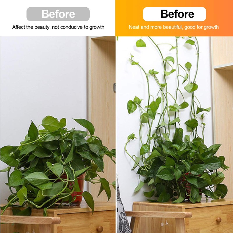 kissral Plant Clips Large Pack of 50 Wall Mounts for