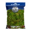SuperMoss Forest Moss Preserved Perfect for Indoor Plants, Crafts, and