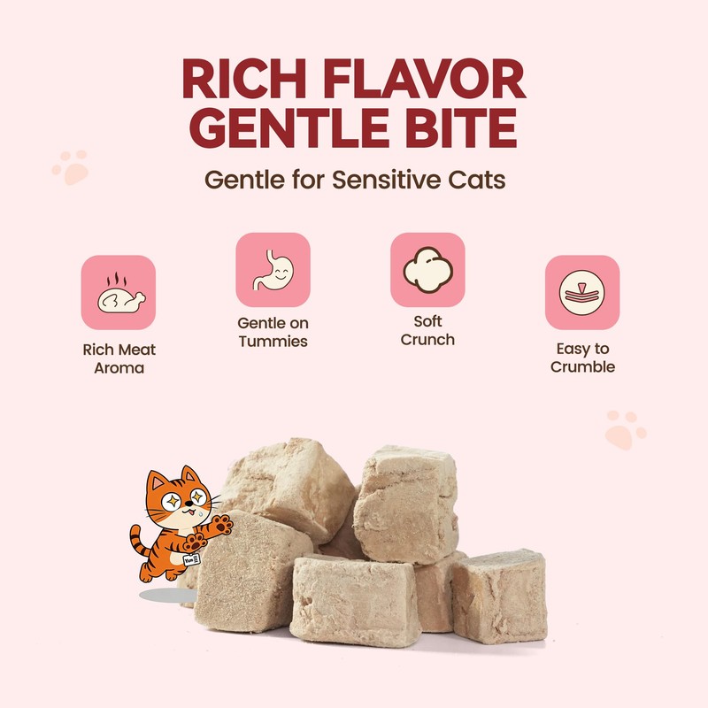 Freeze Dried Duck Liver Cat Dog Treats Single Ingredient Food