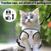 Cat Harness and Lead Set, No Escape 5 M Automatic