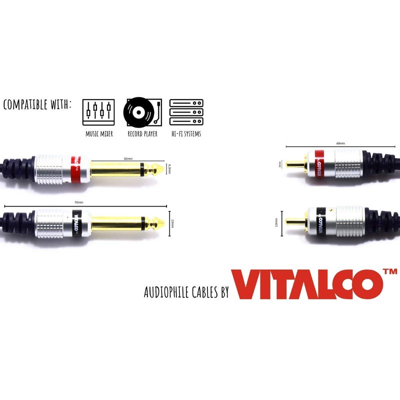 RCA to 6.3 mm Jack Cable 1 m VITALCO 2