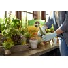 Miracle-Gro Cactus, Palm & Citrus Potting Mix and Succulent Plant