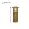 Poolzilla Pool Safety Cover 1 1/2" Extended Brass Screw for