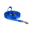 LupinePet 1/2” Basics Extra-long Training Lead/Leash for Puppies and Small