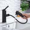 HANLIAN Single Hole Pull Out Faucet for Bathroom Sink, Black