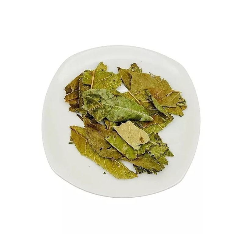 B-Experts Te Hojas de Níspero (Loquat Leaves Tea) - 4oz