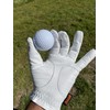 DEGA Golf Gloves 2 Pack 100% Cabretta Leather Golf Gloves