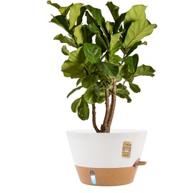 FIASON 12-Inch Self Watering Planters with Drainage Holes, Large Flower Pots for Indoor Outdoor Plants, Garden Pots White